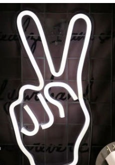 LED Neon Light – Acrylic Back Panel Room Decoration Night Light for Bedroom, Living Room, and Party