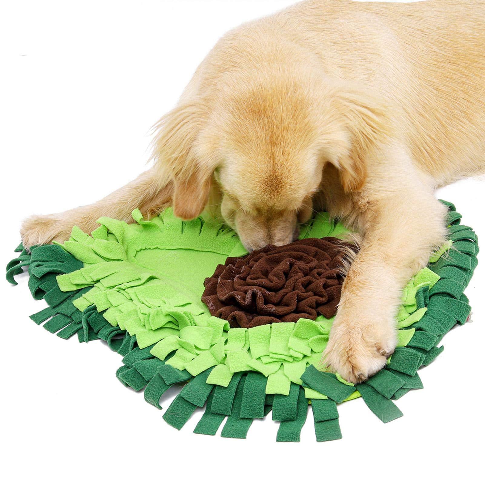 Dog Sniffing Mat & Puzzle Toy – Interactive Pet Feeding Mat for Treats, Training, and Boredom Relief